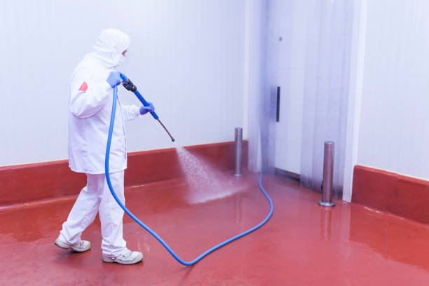 Best Residential Exterior Washing  in Snowflake, AZ
